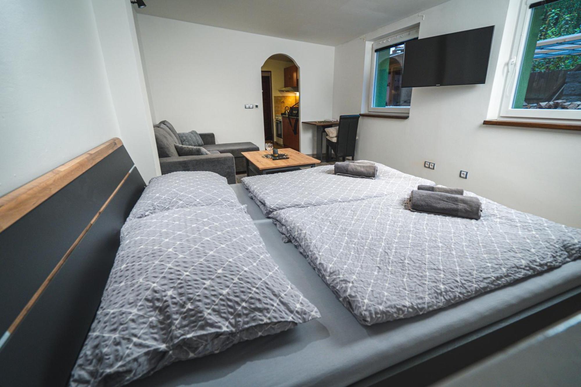 V Podzamci Apartment *